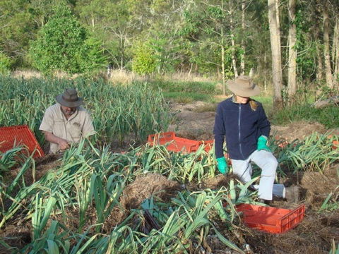Sweet Water Farm - Hobart Tourism 0