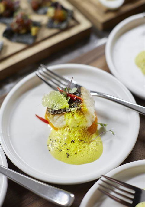 Asana By Pete Evans - Tourism TAS 23