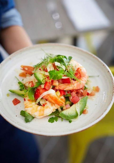 Asana By Pete Evans - Tourism TAS 5