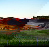Dalwhinnie Wines - Hobart Tourism