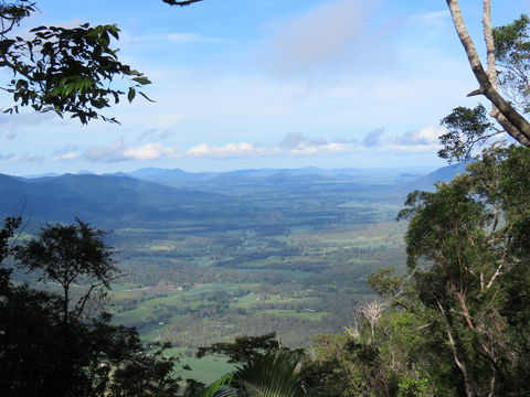 Platypus Lodge Restaurant And Cafe - Tourism TAS 0
