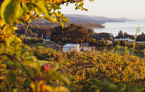 The Woodbridge Smokehouse - Hobart Tourism 0