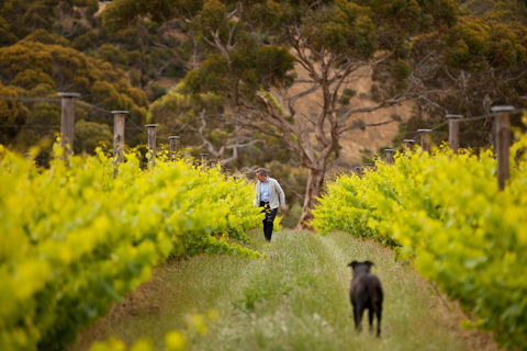 Islander Estate Vineyards - Hobart Tourism 1