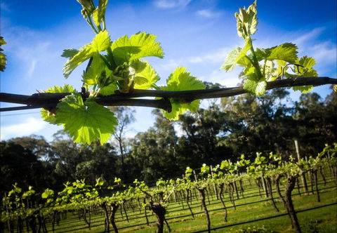 Michael Unwin Wines - Tourism TAS 1
