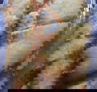 New Dragon - Tourism TAS