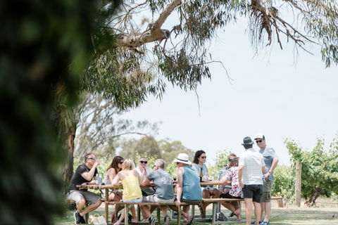St Leonards Vineyard Café - Tourism TAS 0