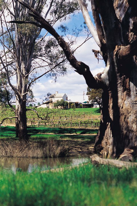 St Leonards Vineyard Café - Tourism TAS 1