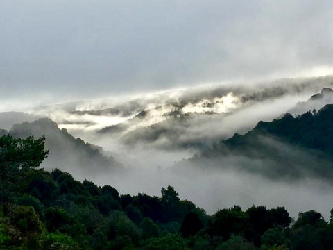 The Mushroom At Waratah - Tourism TAS 0