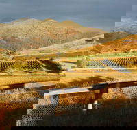 Optimiste Wines - Hobart Tourism