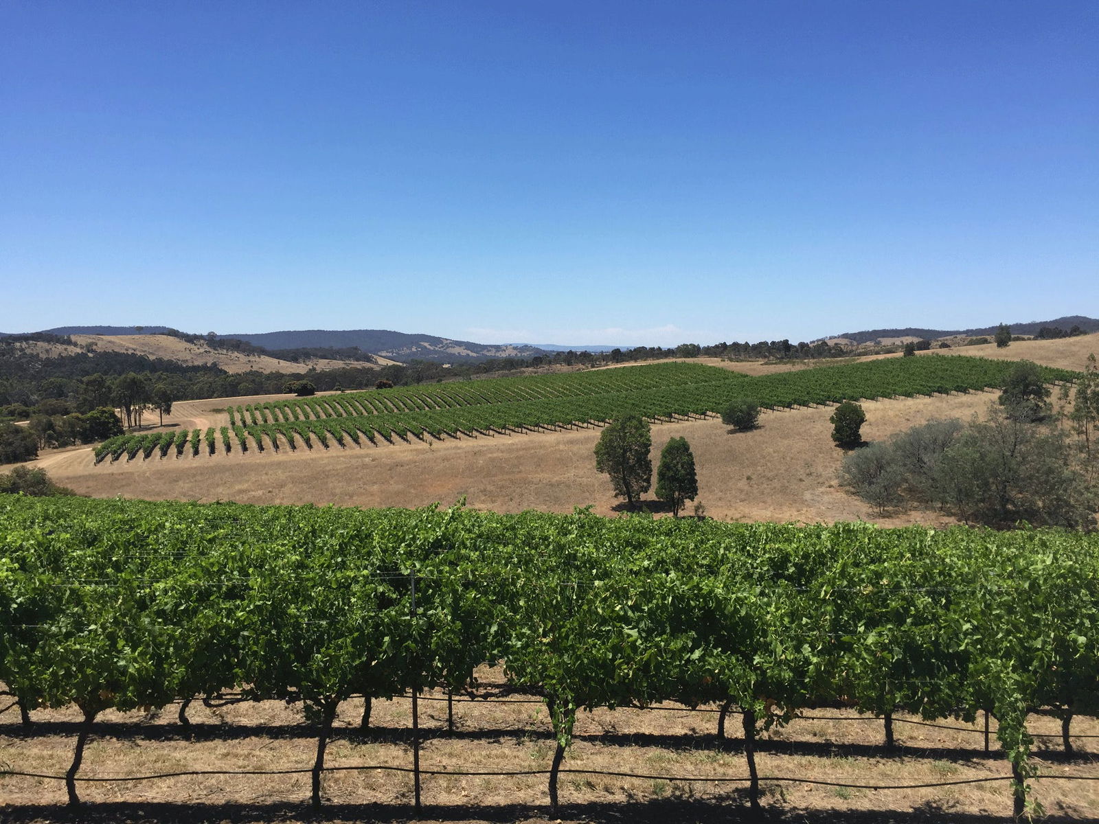 Warrenmang VIC Tourism TAS