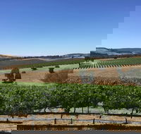 Peerick Vineyard and Winery - Hobart Tourism