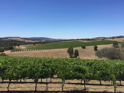 Peerick Vineyard And Winery - Tourism TAS 0