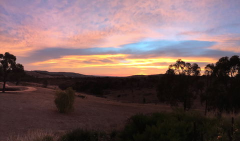 Peerick Vineyard And Winery - Tourism TAS 1