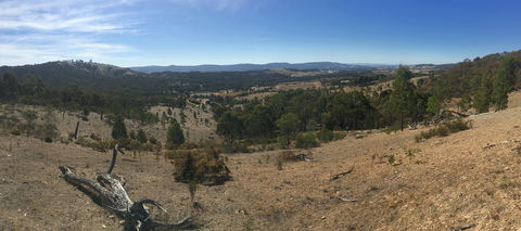 Peerick Vineyard And Winery - Tourism TAS 2
