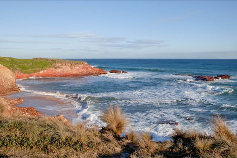 The Cape Kitchen - Tourism TAS 0
