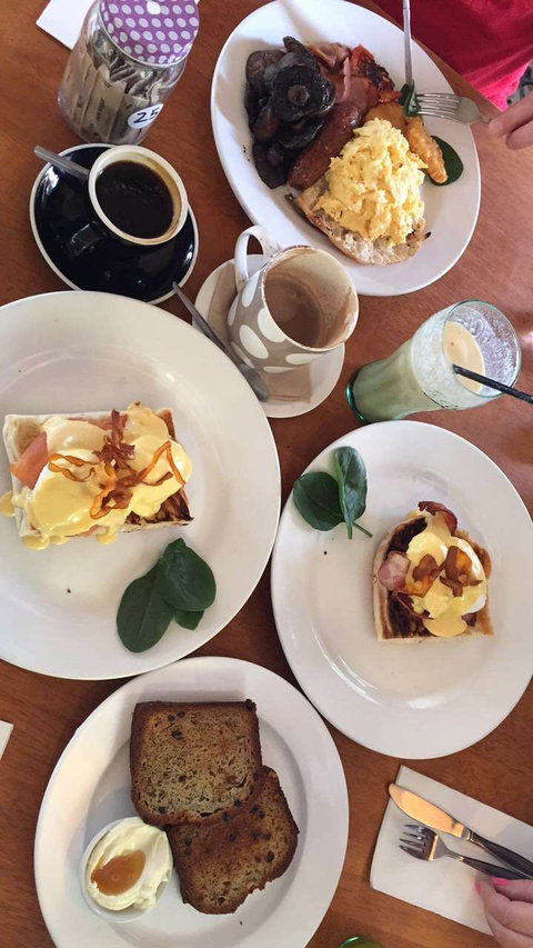 The Fig Tree - Tourism TAS 0