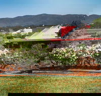 Hanging Tree Wines - Hobart Tourism