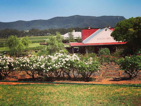 Hanging Tree Wines - Hobart Tourism 0