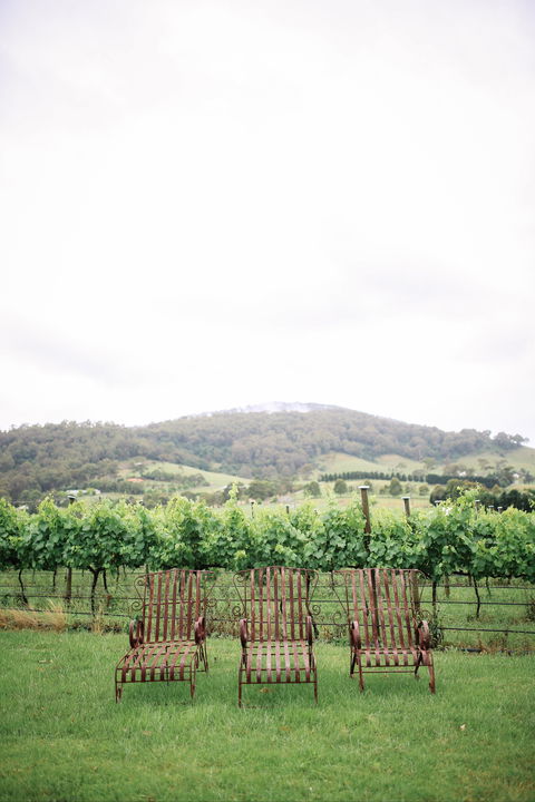 Two Figs Winery - Hobart Tourism 2