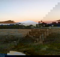 Mountainside Wines - Hobart Tourism