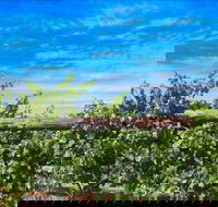 Rowsley Fault Vineyards - Hobart Tourism
