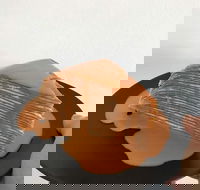 The Usual Joint - Tourism TAS