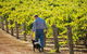 Eden Hall Wines - thumb 1
