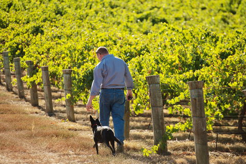 Eden Hall Wines - Hobart Tourism 1