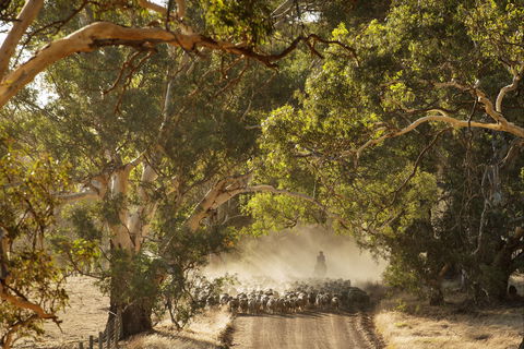 Eden Hall Wines - Hobart Tourism 2