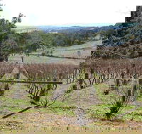 Habitat Vineyard - Tourism TAS