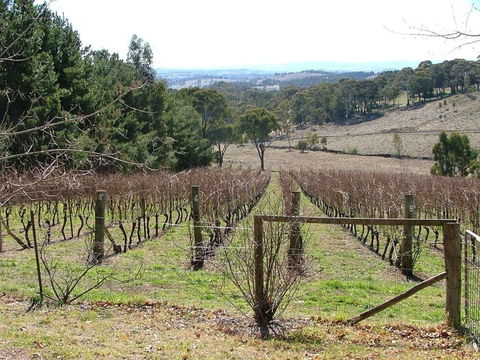 Habitat Vineyard - Hobart Tourism 0