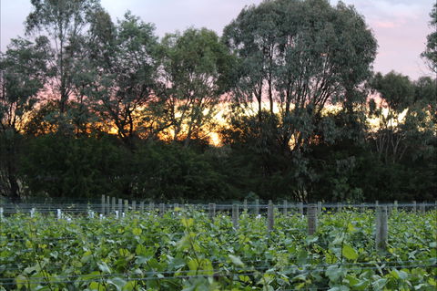 Haldon Estate Wines - Hobart Tourism 2