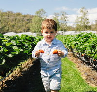 Hillwood Berries Farmgate  Pick Your Own - Tourism TAS