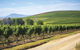Jansz Tasmania - thumb 0