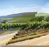 Jansz Tasmania - Hobart Tourism