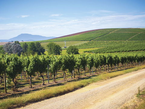 Jansz Tasmania - Hobart Tourism 0