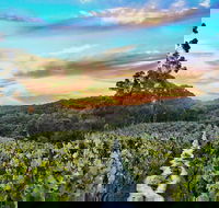 Between the Vines Cellar Door - Hobart Tourism