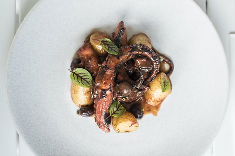 ReccoLab - Tourism TAS 0