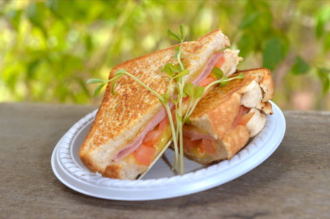 Wangi Falls Cafe - Hobart Tourism 2