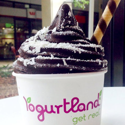 Yogurtland - Prairiewood - Tourism TAS 0
