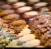 Cafe Stellina - Hobart Tourism