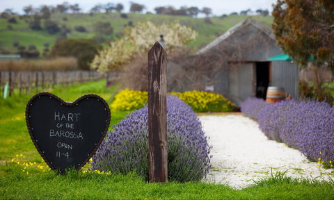 Hart Of The Barossa - Hobart Tourism 0
