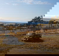 Overtime vineyard - Hobart Tourism
