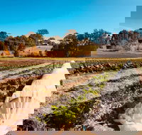 Synchronicity Farm - Hobart Tourism