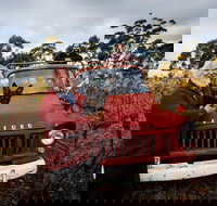 The Shiraz Republic - Tourism TAS