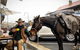 The Coffee Pedaler - thumb 1