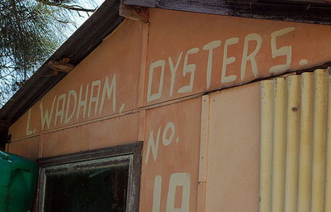 Les Wadham Oysters - Broken Bay Pacific Oysters - Tourism TAS 0