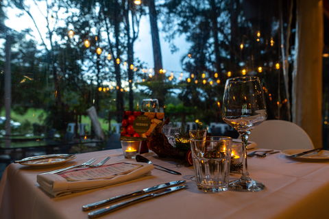 Rainforest Restaurant And Lounge Bar - Tourism TAS 1
