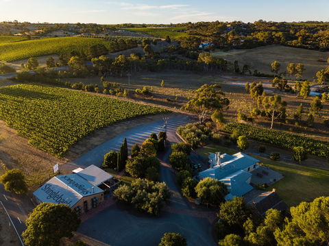 Shingleback Wine - Hobart Tourism 0