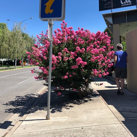 Alpine Gate Cafe - Hobart Tourism 0